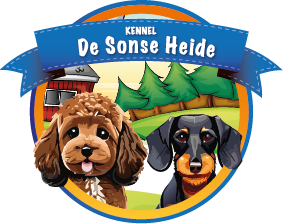 Kennel de Sonse Heide